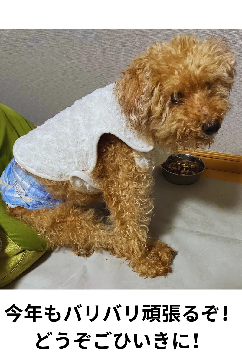 令和6年度もよろしくね🐶